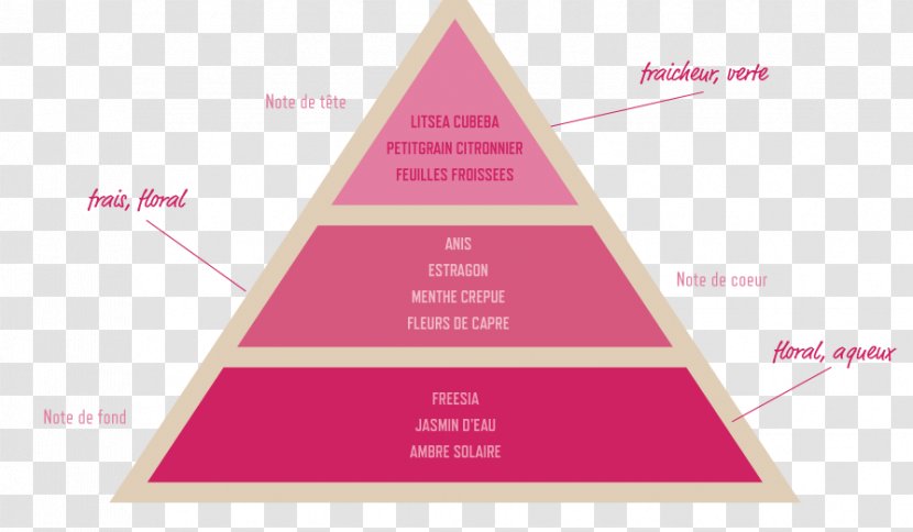 Grasse Perfumer Olfaction Triangle - Perfume Transparent PNG