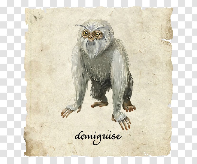 Fantastic Beasts And Where To Find Them Jacob Kowalski Apes Monkeys Magical Creatures In Harry Potter - Cartoon White Monkey Transparent PNG