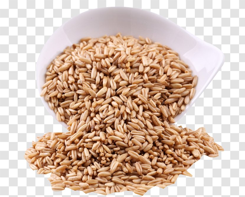Oat Organic Food Rice Cereal Chinese Cuisine Spelt - Wheat - Full Grain Pearl Barley Pull Material Free Transparent PNG