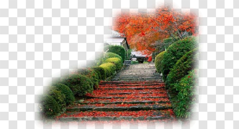 Kyoto Desktop Wallpaper Japanese Garden - Landscape - Plant Transparent PNG