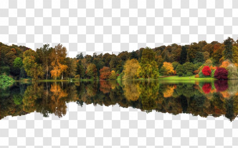 High-definition Television WUXGA 1080p 16:10 Wallpaper - Symmetry - Autumn Forest Reflection Figure Transparent PNG