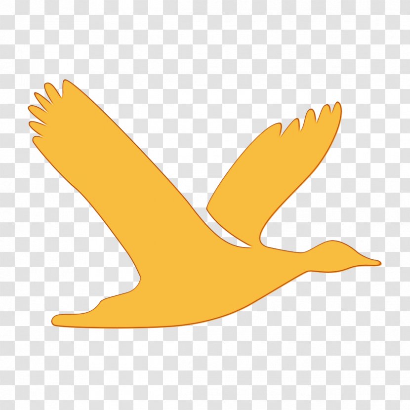 Wing Yellow Bird Beak Logo - Goose Water Transparent PNG