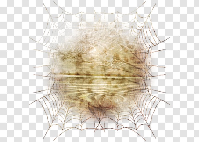 Invertebrate Symmetry Jaw Line Pattern - Watercolor Transparent PNG