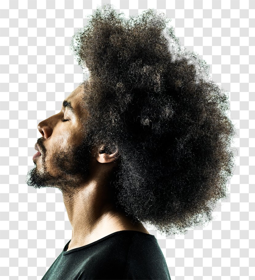 Neuroscience Neurociencia Aplicada Reality Marketing Afro - Hairstyle - Martin Lindstrom Transparent PNG