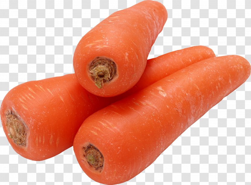 Carrot Seed Oil Vegetable Vegetarian Cuisine Ingredient - Image Transparent PNG