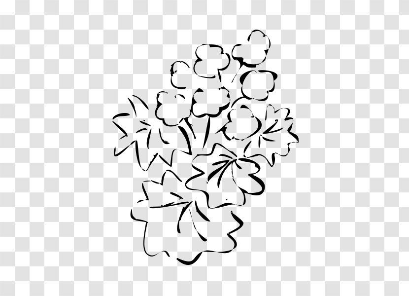 Bassano Del Grappa Branch Cut Flowers Rubbio - Petal - Alchemilla Transparent PNG