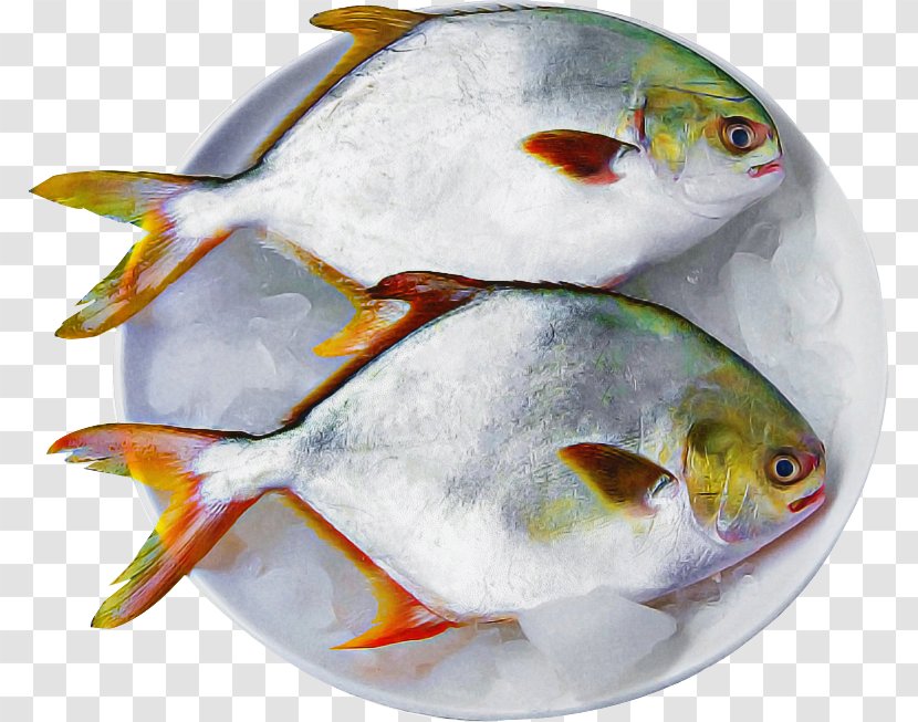 Fish White Bony-fish - Bonyfish Transparent PNG