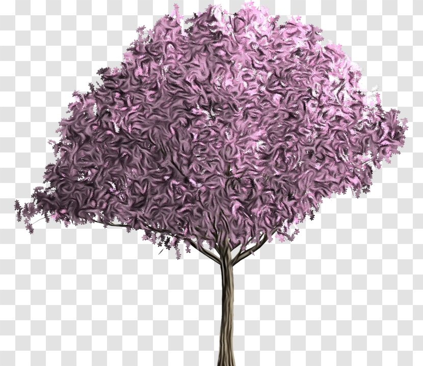 Tree Purple Plant Lilac Violet - Grass Flower Transparent PNG