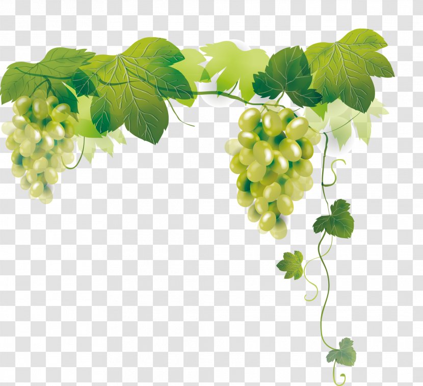 Grape Auglis - Green Transparent PNG