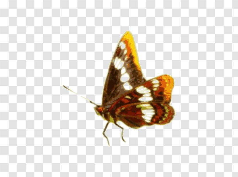 Brush-footed Butterflies Butterfly And Moths Insect - Antumn Leaves Gradient Color Transparent PNG