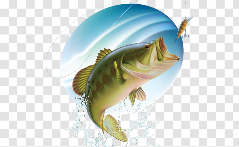 Largemouth Bass Fishing - Smallmouth Transparent PNG