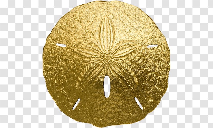 Sea Urchin Sand Dollar Coin Gold - Money Transparent PNG