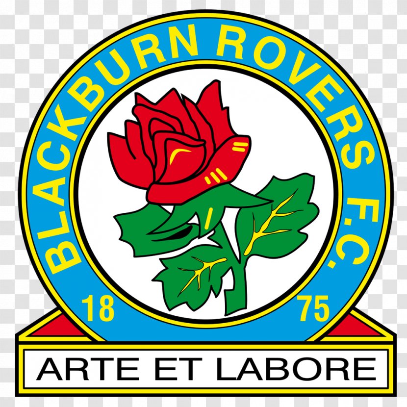 Blackburn Rovers F.C. EFL Championship English Football League Hull City Doncaster - Artwork Transparent PNG