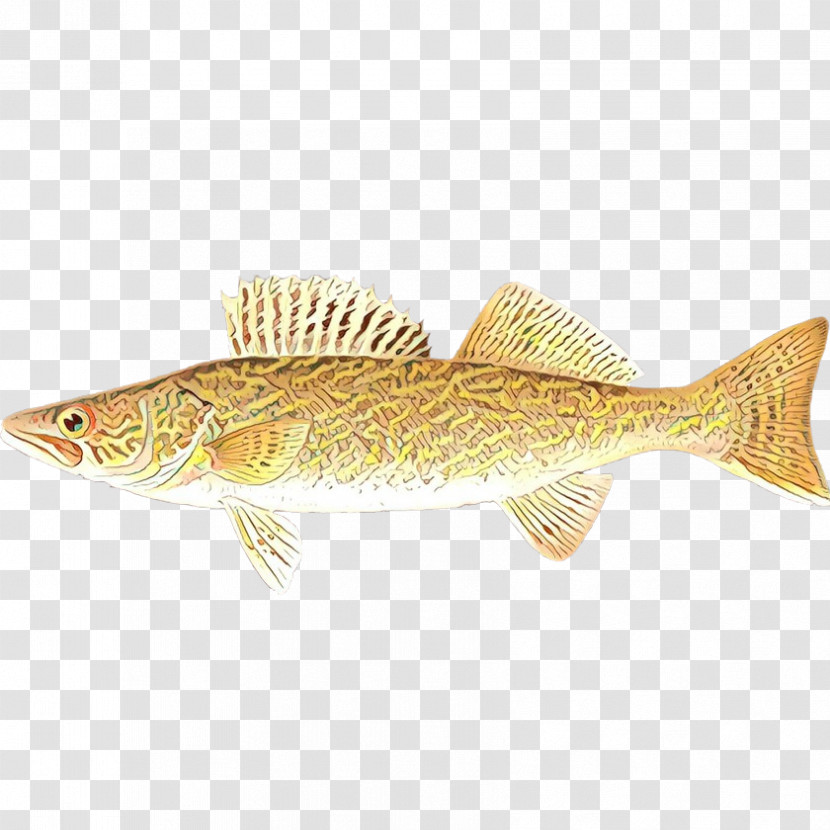 Fish Fish Bony-fish Ray-finned Fish Trout Transparent PNG