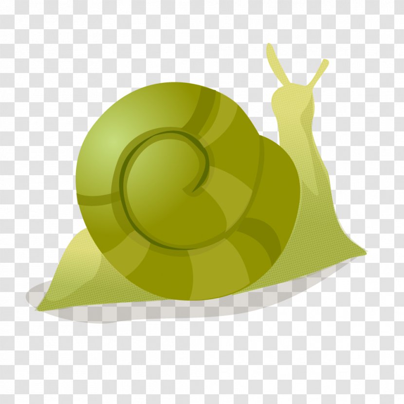 Green - Light Snail Vector Transparent PNG