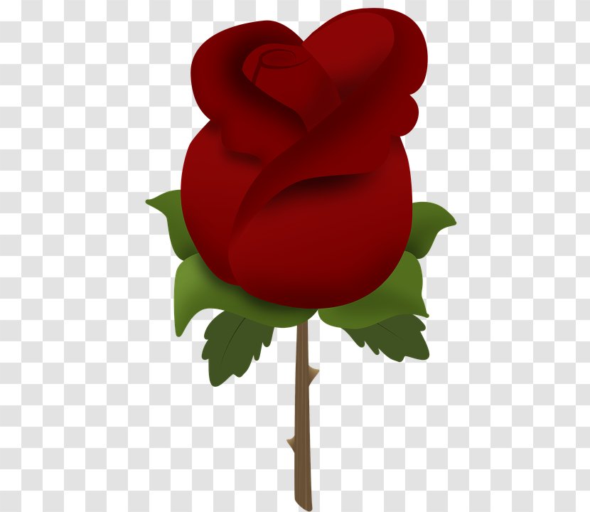 Garden Roses Clip Art - Heart - Rose Transparent PNG