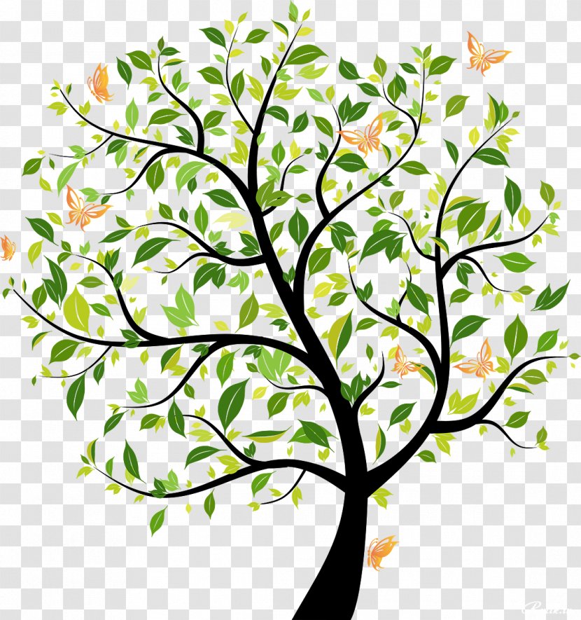 Drawing Graphic Design - Cartoon - Tree Transparent PNG