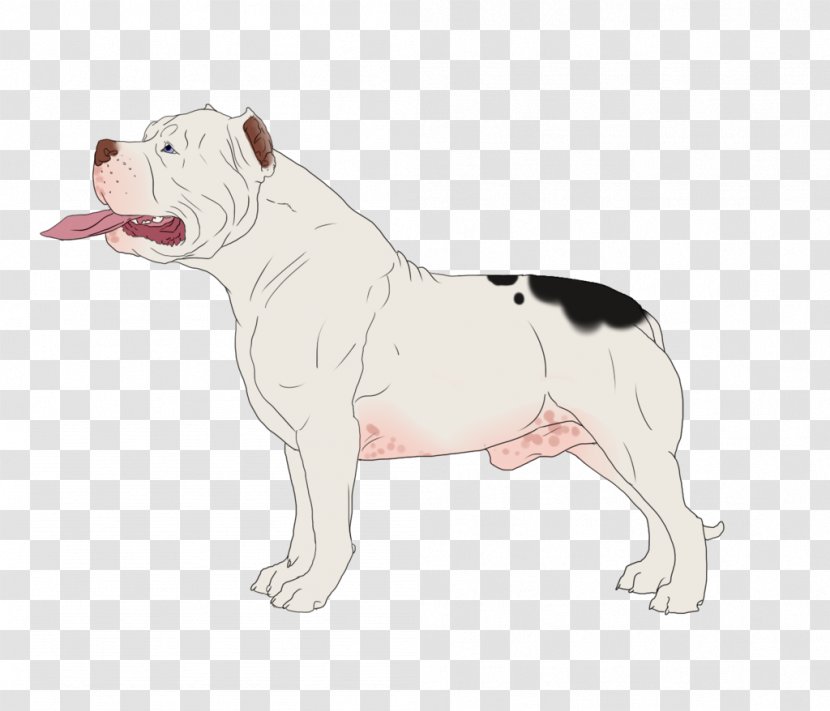 Dorset Olde Tyme Bulldogge English American Bulldog Toy Valley - Breed - Artificial Insemination Transparent PNG