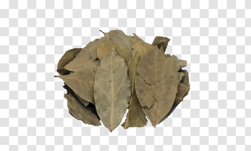 Bay Laurel Food Leaf Spice - Turkey Transparent PNG
