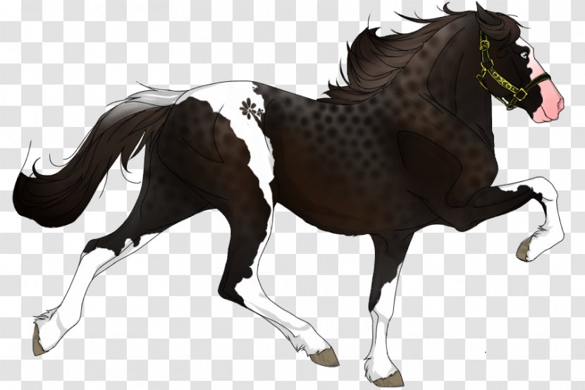 Mustang Pony Appaloosa Stallion Mare - Horse - Minimal Tobiano Transparent PNG