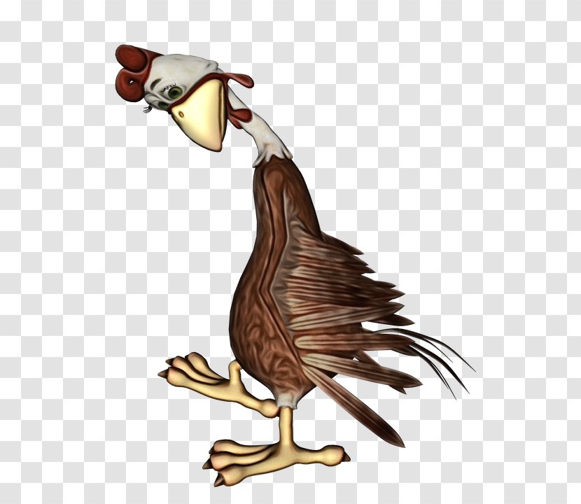 Chicken Cartoon - Beak - Goose Transparent PNG