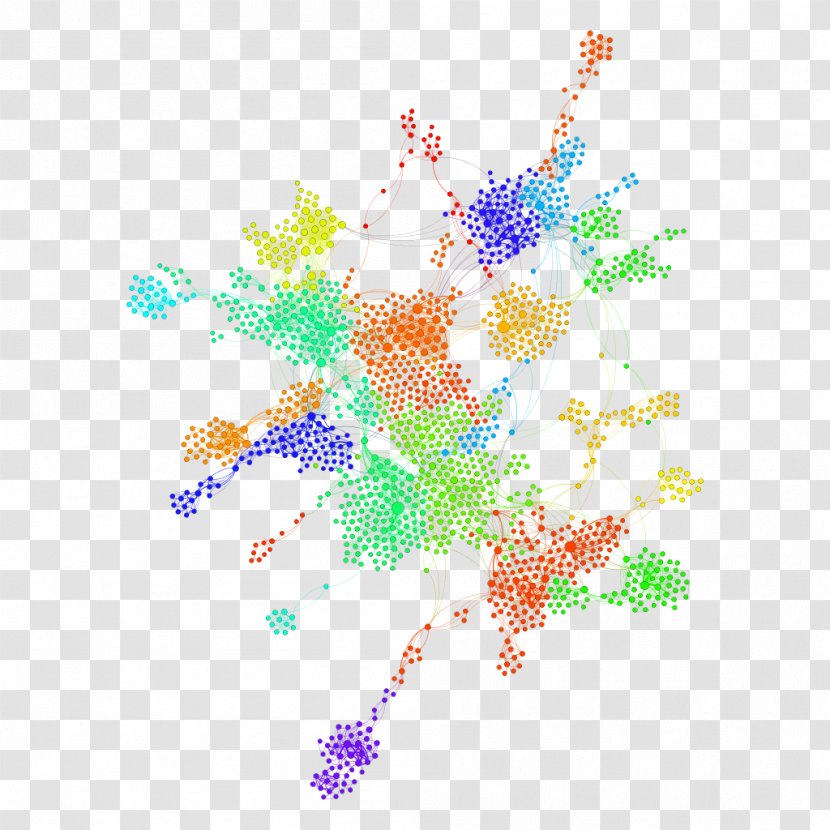 Social Network Analysis Computer Clusters Of Innovation - Flowering Plant Transparent PNG