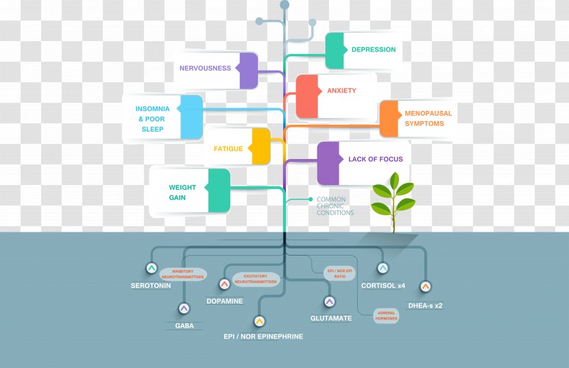 Infographic Timeline Diagram Graphic Design Template - Microsoft Powerpoint - Business Transparent PNG
