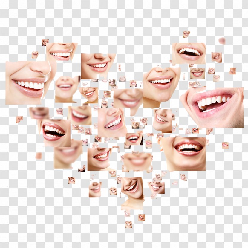 Dentistry Human Tooth Health Smile Transparent PNG