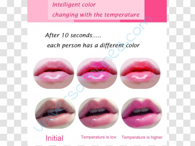 Lip Gloss Balm Lipstick Stain - Tree Transparent PNG