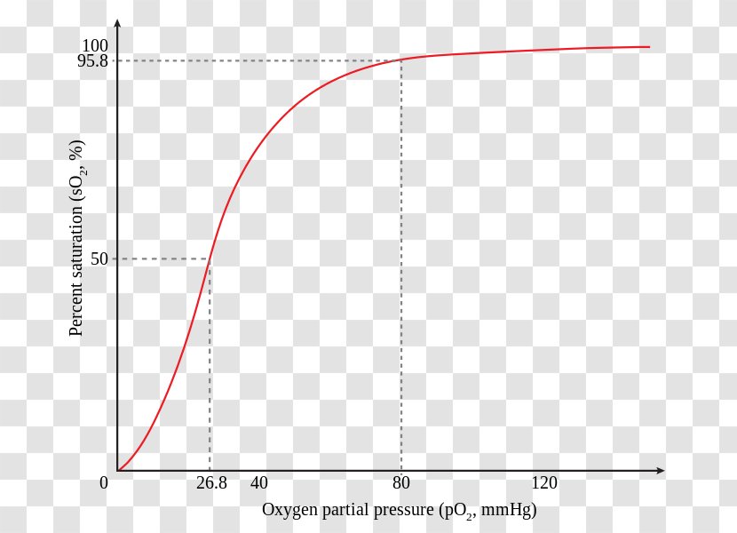 Hemoglobin Oxygen Arterial Blood Gas Test Lung - Oxygenhemoglobin Dissociation Curve Transparent PNG