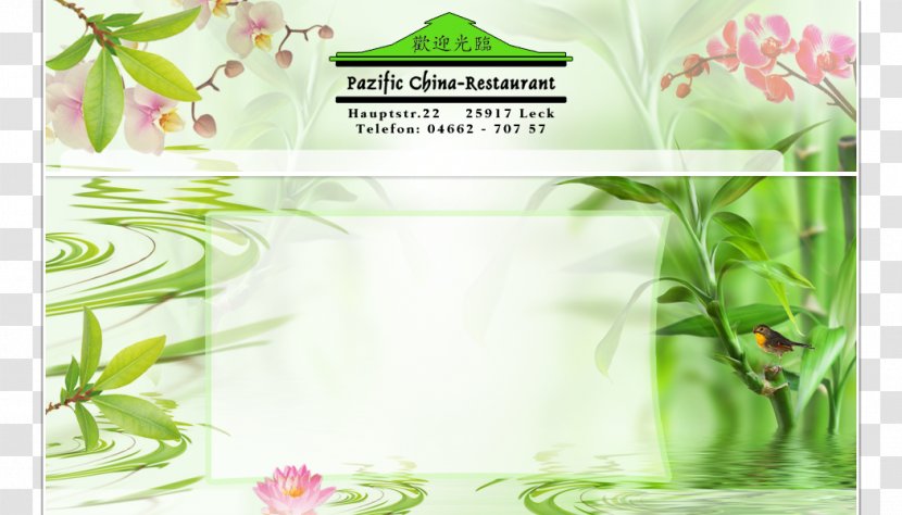 Floral Design Herbalism Alternative Health Services - Green - Chinese Takeout Transparent PNG