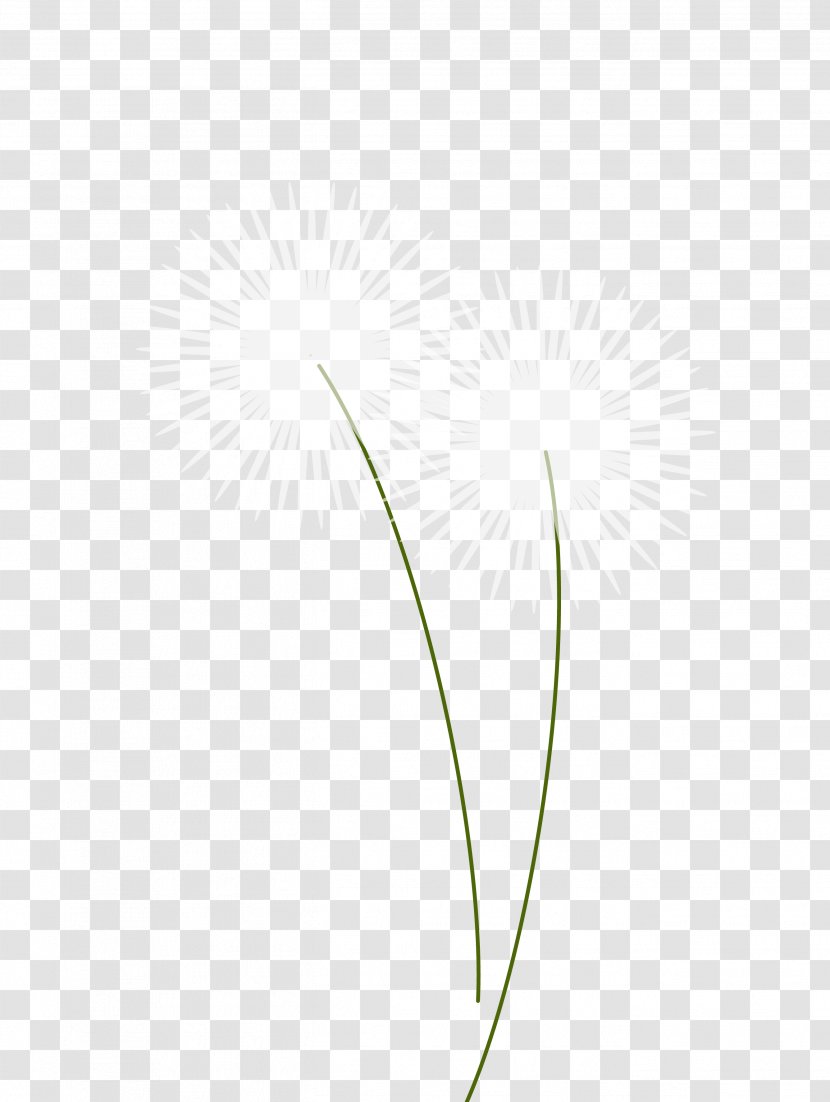 Angle Pattern - White - Vector Cartoon Dandelion Material Transparent PNG