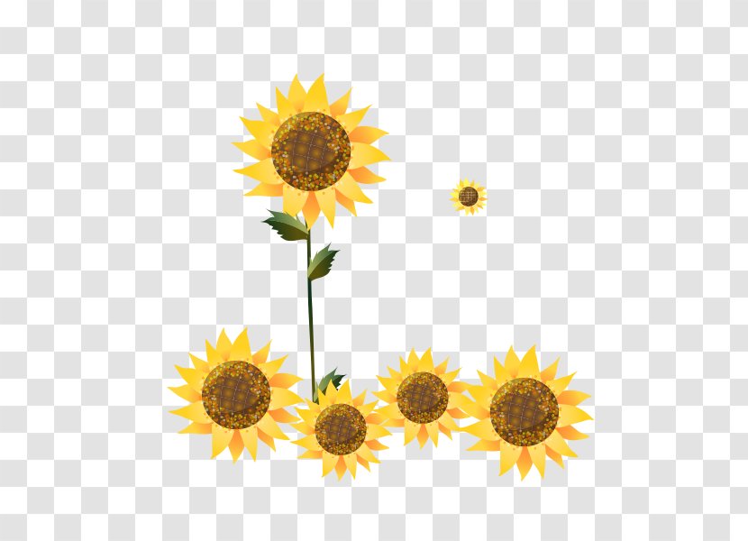 Common Sunflower Cartoon Illustration - Petal Transparent PNG