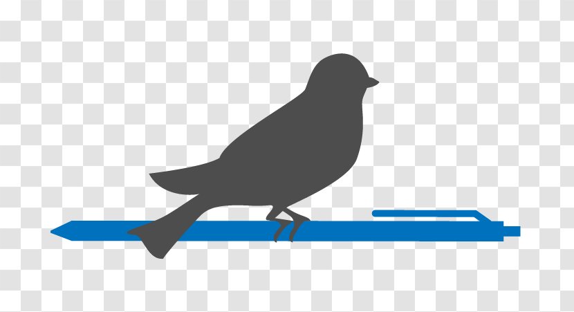 Copy Editing Proofreading Writing - Crow - Proofreader Vector Transparent PNG