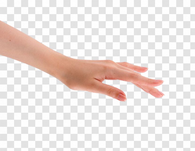 Hand Finger Visual Arts Gesture - Whitened Fingers Transparent PNG