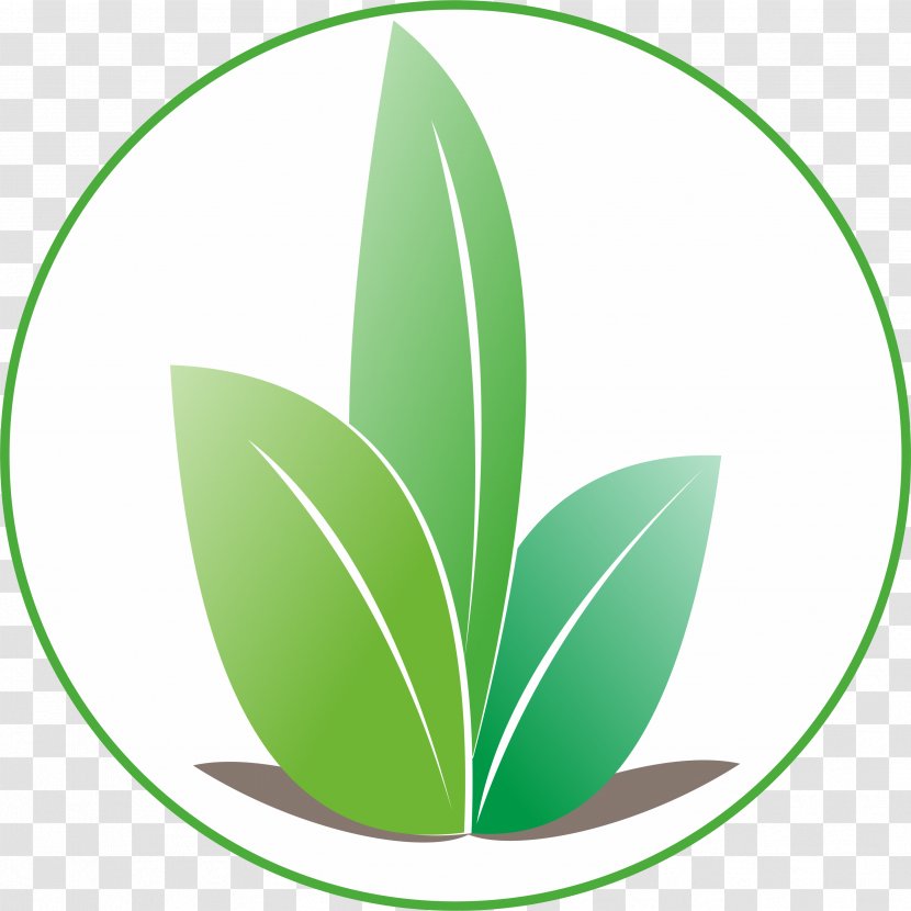 Leaf Green Grasses Font - Plant Transparent PNG