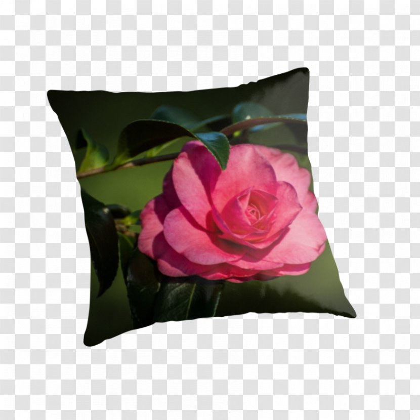Throw Pillows Cushion Pink M RTV - Pillow Transparent PNG