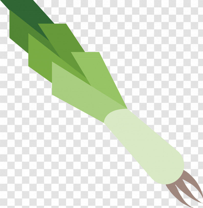 Leek Transparent PNG