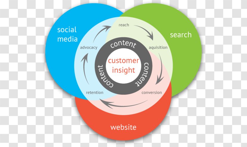 Digital Marketing Content Social Media Strategy - Organization - Creative Infographics Transparent PNG