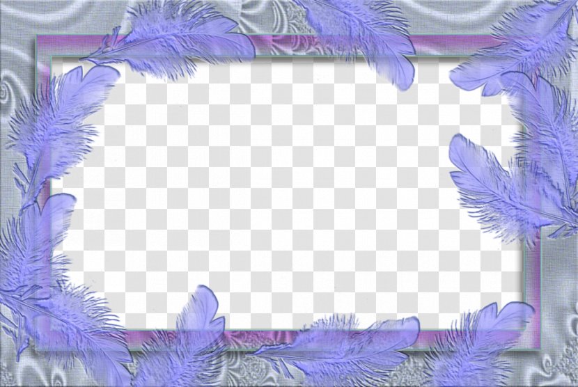Picture Frame Kanchi Pattu Sarees Clip Art - Product - Purple Border Photo Transparent PNG