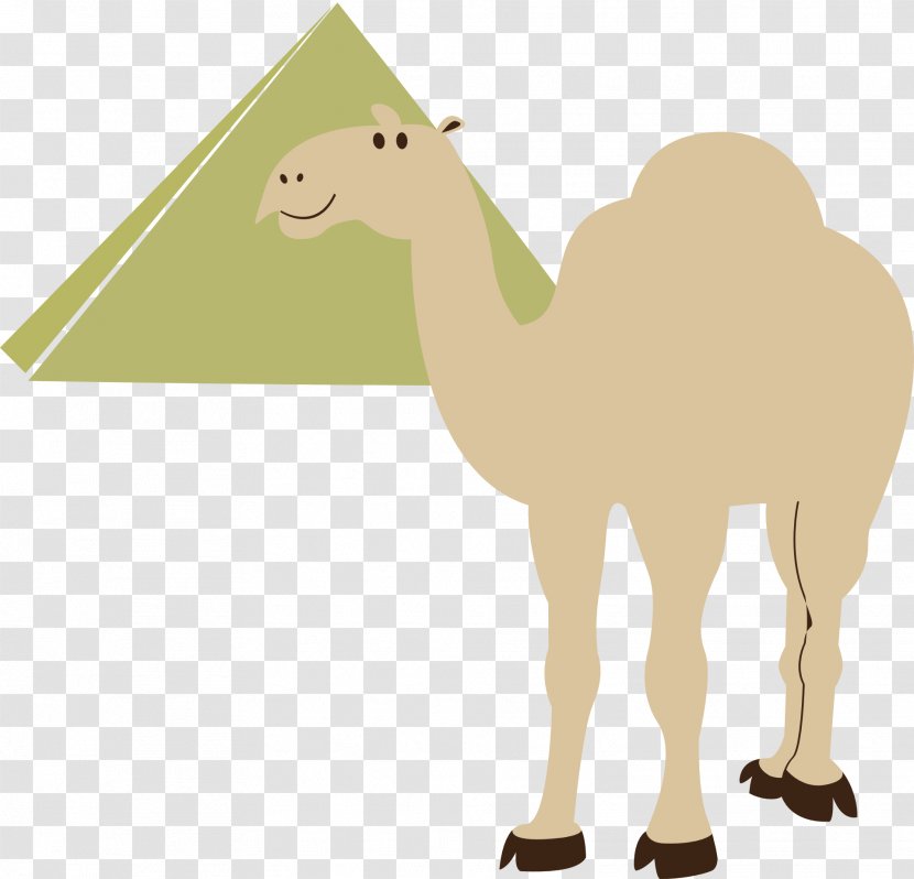 Egyptian Pyramids Cairo Camel Clip Art - Fauna Transparent PNG