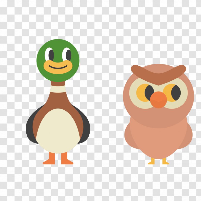 Owl Duck Cartoon - Drawing - Vector Birds Transparent PNG