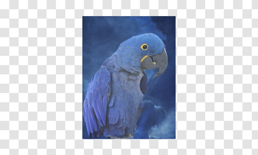 Budgerigar Hyacinth Macaw Bird Blanket - Wing Transparent PNG