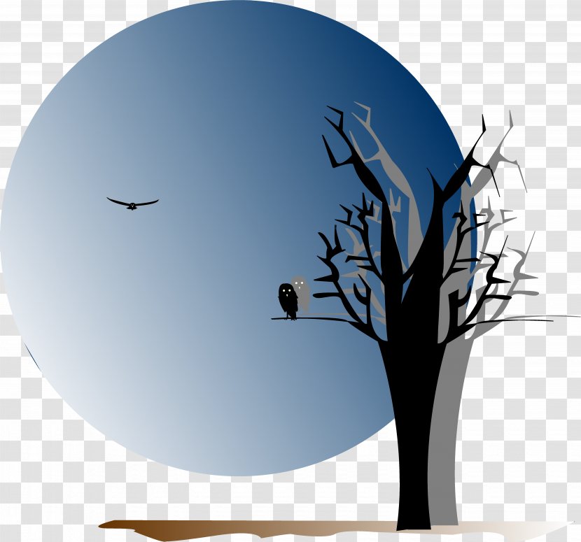 Silhouette Drawing Forest - Branch Transparent PNG