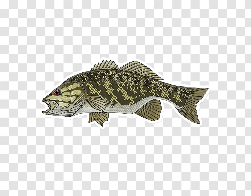 Smallmouth Bass Largemouth Fishing Clip Art Transparent PNG