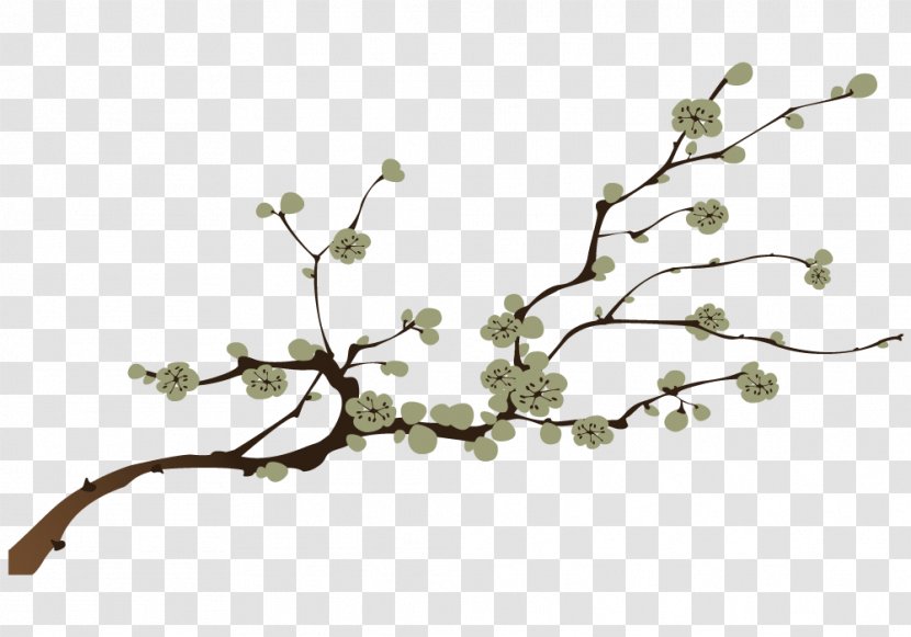 Branch Paper Flower Tree Twig - Blossom - Rama Transparent PNG