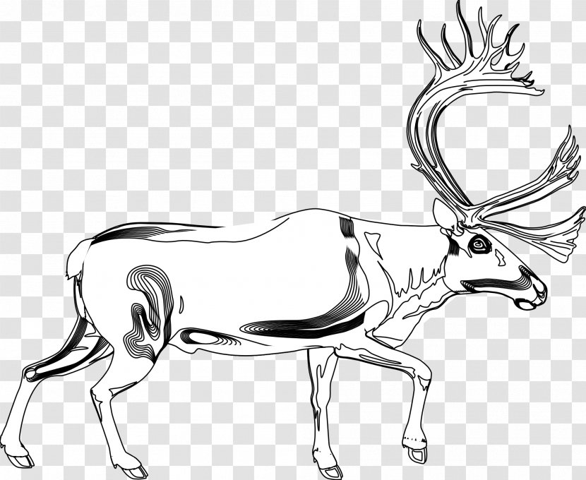 Reindeer Line Art Antelope Drawing Antler Transparent PNG