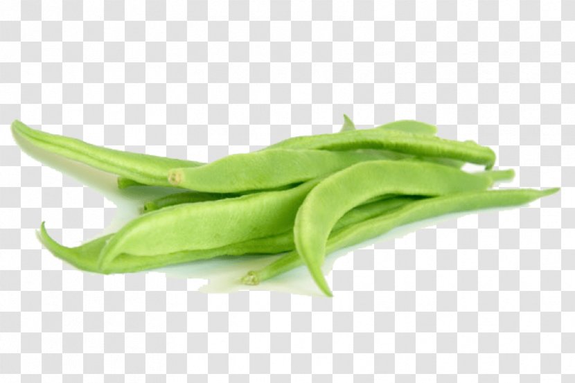 Snap Pea Green Bean Flat Vegetable Transparent PNG
