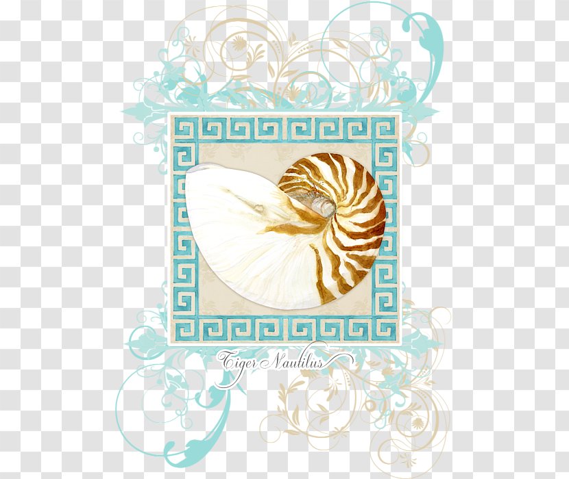 Seashell Nautilidae Light Curtain - Douchegordijn Transparent PNG