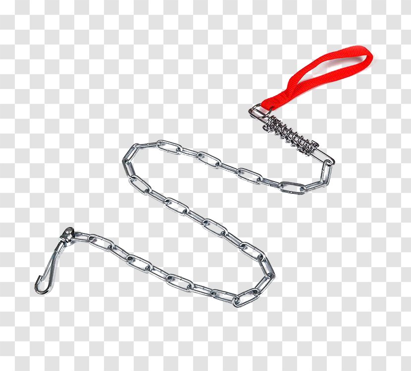 Dog Puppy Chain Pet - Gratis - Iron Transparent PNG